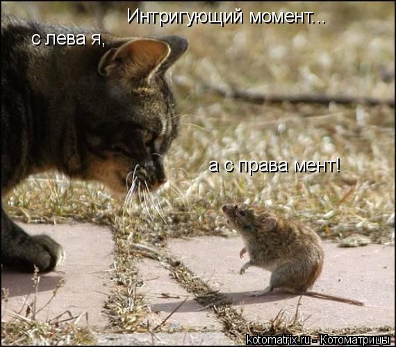 4743317_hB (570x499, 55Kb)