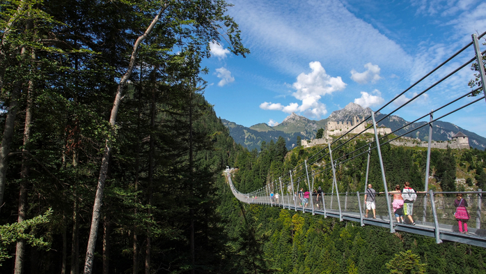 Castle and Pedestrian Bridge (700x393, 426Kb)