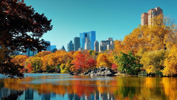 Central Park autumn and buildings reflection in midtown, Manhattan, New York City, USA (700x393, 433Kb)