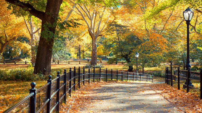 Central Park in New York City on colorful autumn day, USA (700x393, 599Kb)