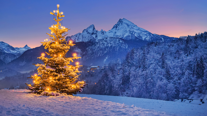 Christmas tree on the vineyard with Watzmann, Steinernes Meer plateau, Bavaria, Germany (700x393, 362Kb)