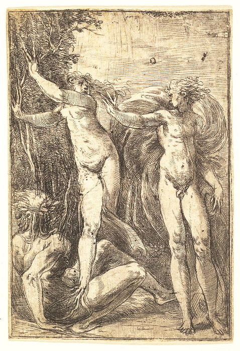 1538-1540 Apollo and Daphne, (478x700, 204Kb)
