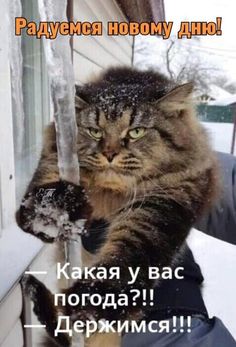 4743317_4c29ee51e25ad90c1dbdf3aef6fa231a (236x347, 20Kb)