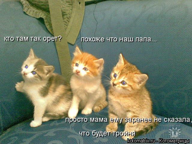 4743317_eV (640x480, 61Kb)