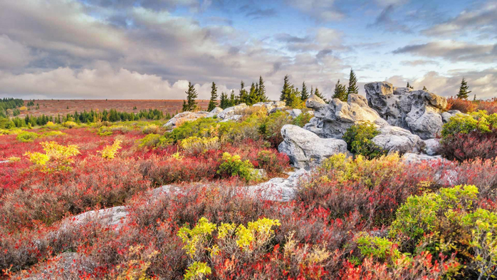 Bear Rocks Preserve, West Virginia (700x393, 425Kb)