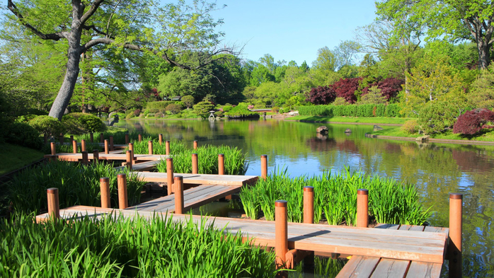 Board walk in Saint Louis Botanical gardens, Missouri, USA (700x393, 487Kb)