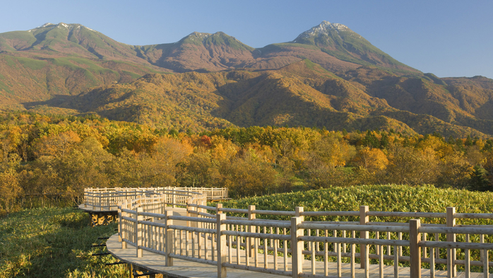 Boardwalk in Shiretoko National Park, Hokkaido, Japan (700x393, 445Kb)