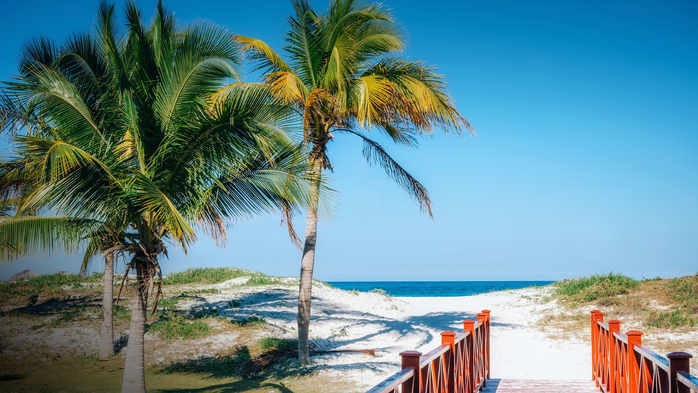 Bridge to tropical landscape in Varadero, Cuba (700x393, 376Kb)