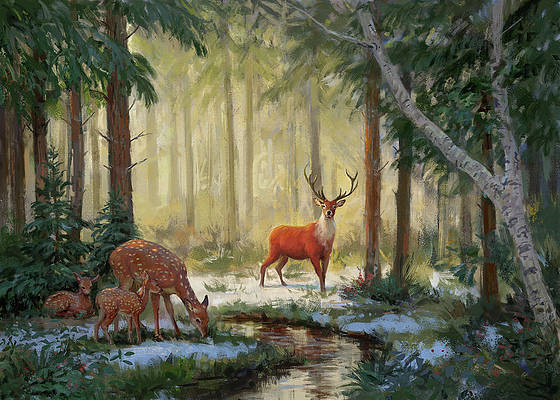 deer-family-daniel-rodgers (560x400, 165Kb)