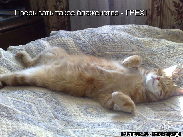 4743317_M_ (640x480, 61Kb)