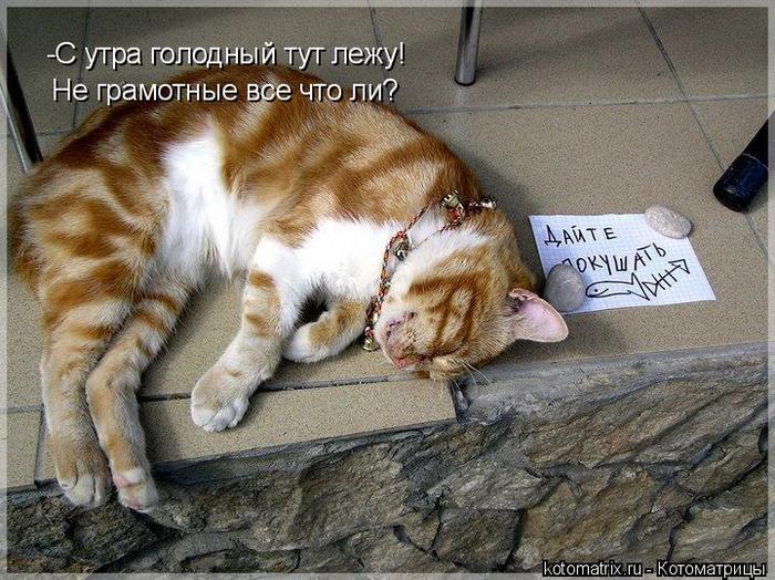 4743317_em (700x524, 91Kb)