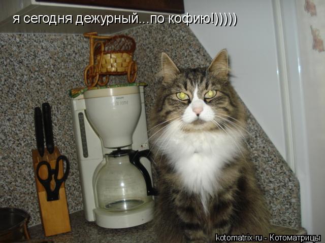 4743317_Zn (640x480, 49Kb)