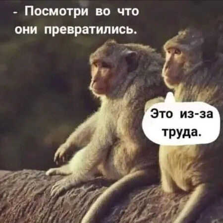 4743317_i_jpegvi (450x450, 52Kb)