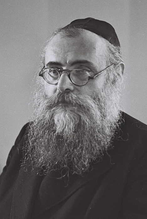 Yitzhak_Meir_Levin (469x700, 228Kb)