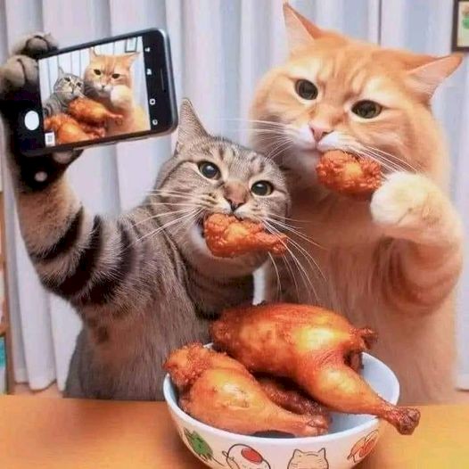 4743317_5a104720 (526x526, 55Kb)