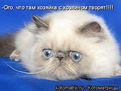 4743317_TW (400x300, 21Kb)