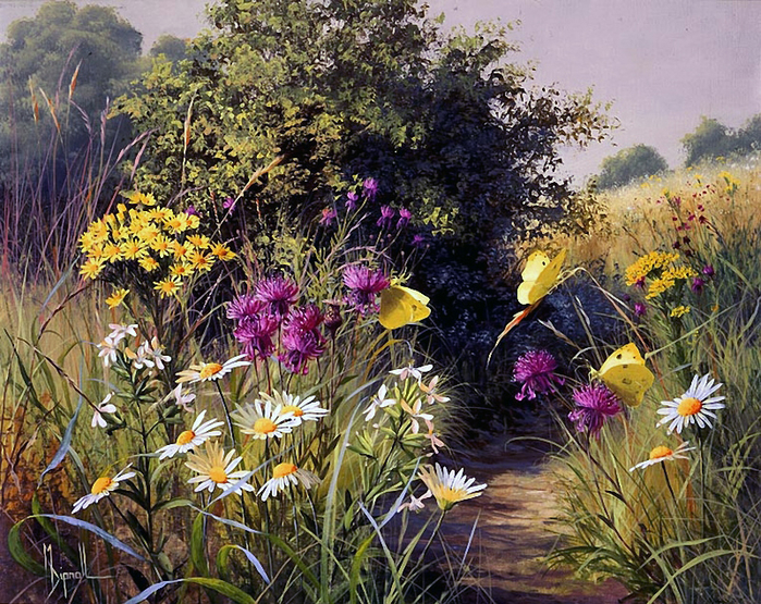 Daisies and Red Campion (700x555, 640Kb)