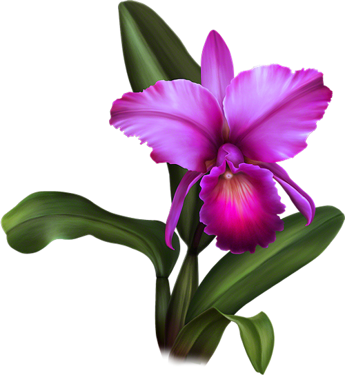 23 (500x544, 261Kb)