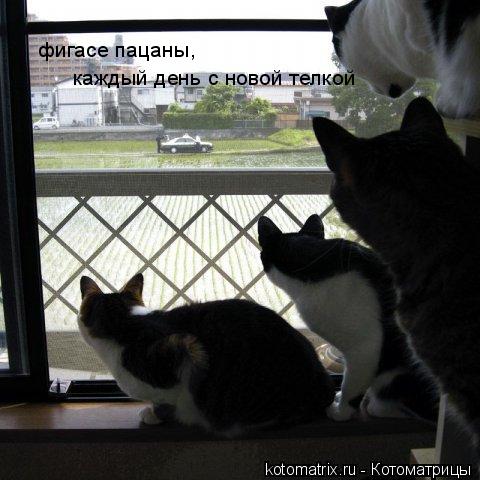 4743317_F (480x480, 40Kb)