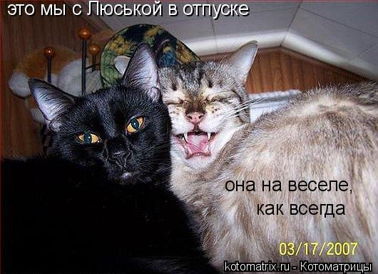 4743317_k (530x384, 46Kb)