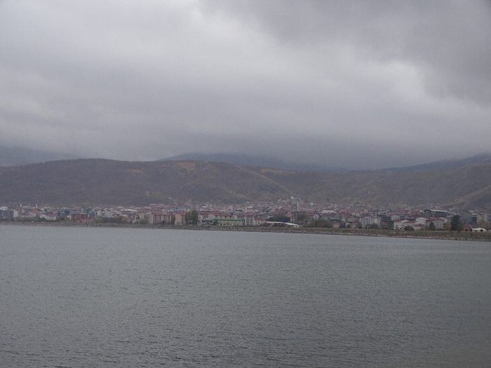 DSC00959 (700x525, 260Kb)