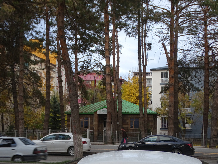 DSC00972 (700x525, 511Kb)