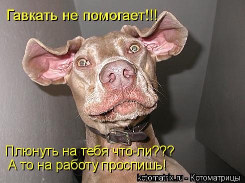 4743317_NL (489x366, 36Kb)