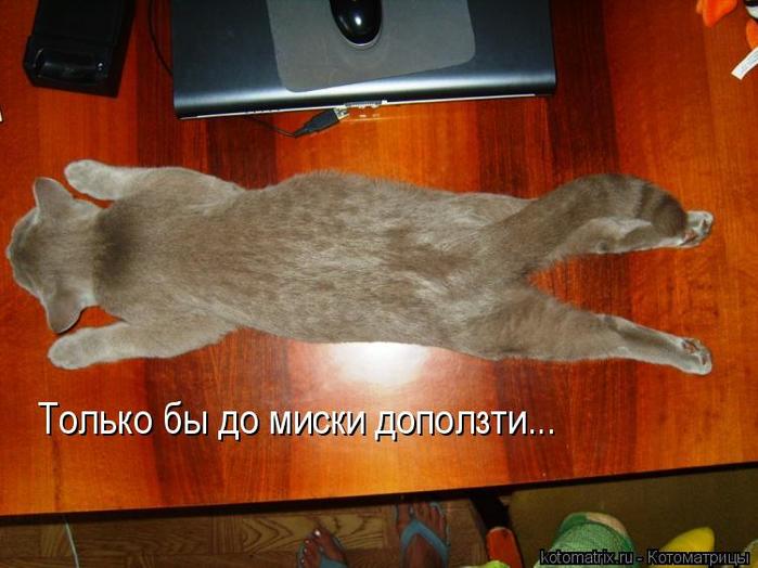 4743317_Kb (700x524, 51Kb)
