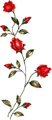  (171x390, 44Kb)