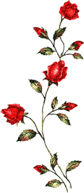  (171x390, 44Kb)