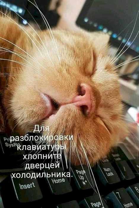 4743317_e151663c (469x700, 104Kb)