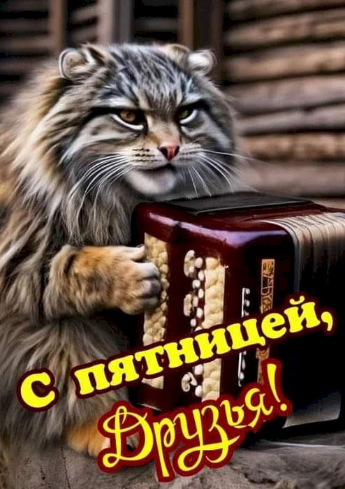 4743317_f9cf3b92 (494x700, 96Kb)