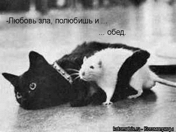 4743317_qn (604x452, 61Kb)