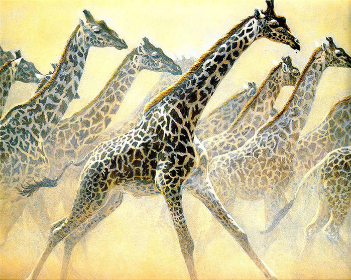 Robert Bateman _art_animals (13) (700x558, 595Kb)