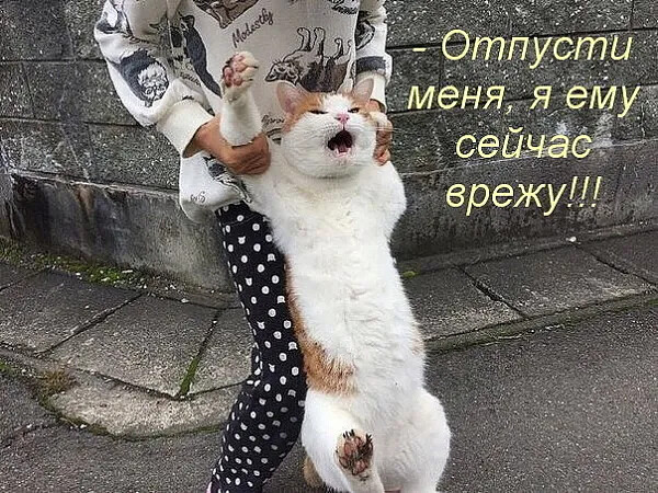 4743317_i_1 (600x450, 141Kb)