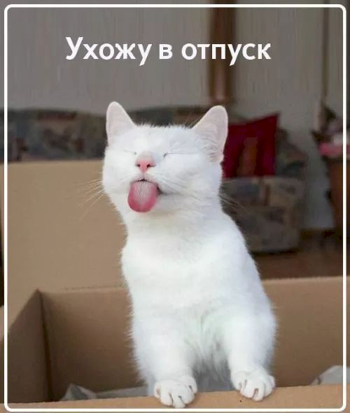 4743317_3d9f189d (500x589, 35Kb)