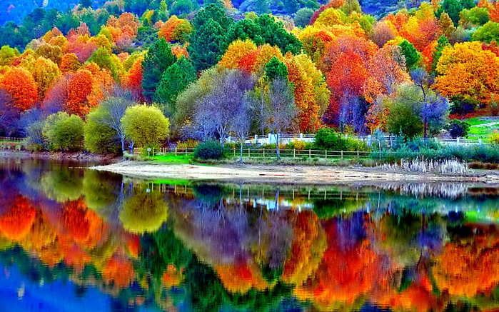 5402287_nature1920x1200forestlakewallpaperpreview (700x437, 70Kb)