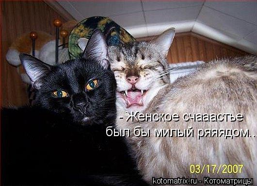 4743317_k (530x384, 45Kb)