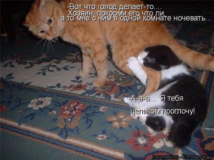 4743317_qS (700x524, 62Kb)
