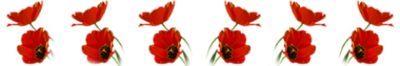  26 (400x66, 35Kb)