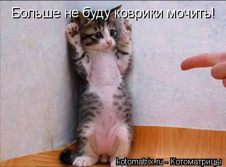 4743317_PW (444x328, 24Kb)