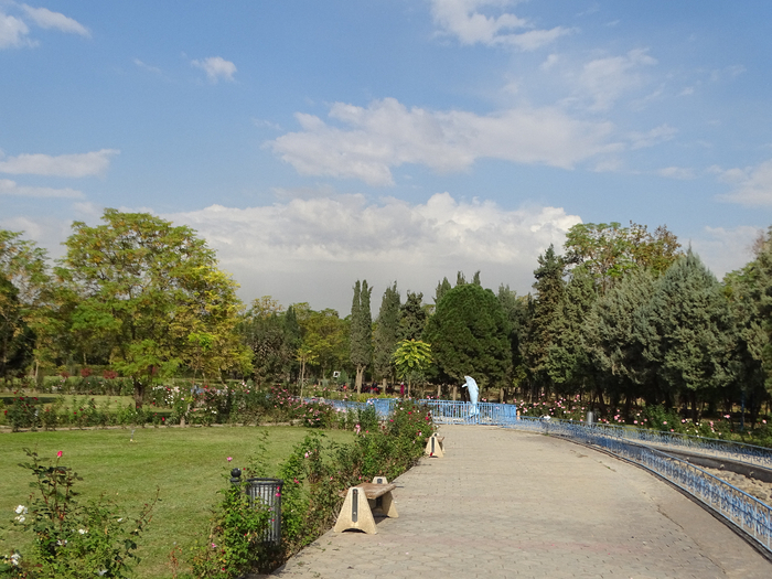DSC00139 (700x525, 443Kb)