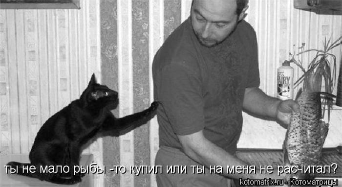 4743317_1g (700x382, 41Kb)