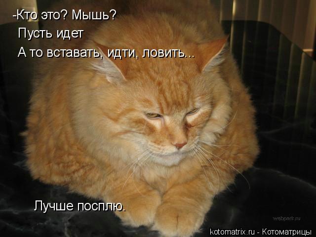 4743317_zq (640x480, 39Kb)