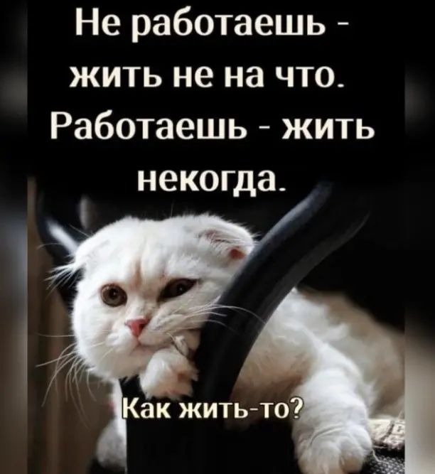 4743317_UID728242_1668170609_7 (612x667, 43Kb)
