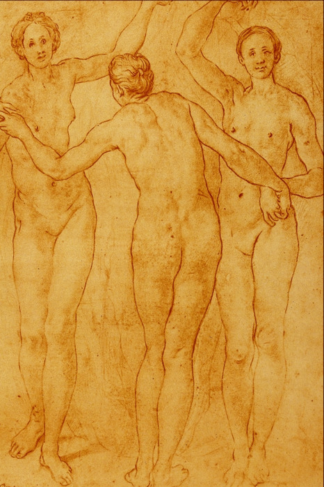 1 1535 Study for the Three Graces, Drawing (466x700, 144Kb)