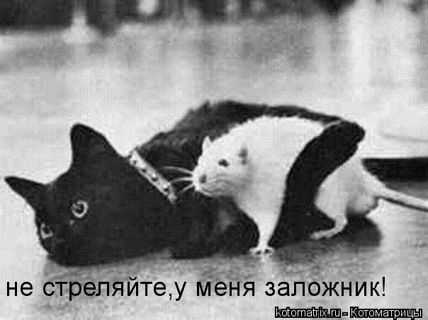 4743317_QG (604x452, 62Kb)