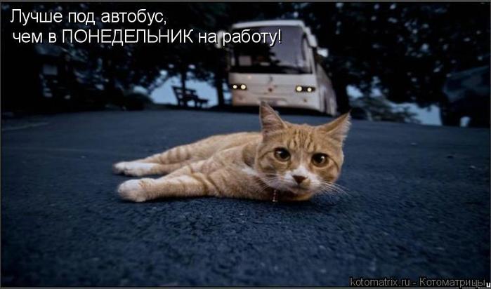 4743317_qy (700x412, 37Kb)