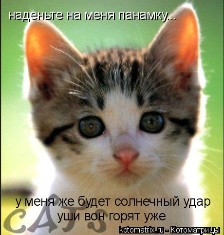 4743317_JG (460x482, 39Kb)