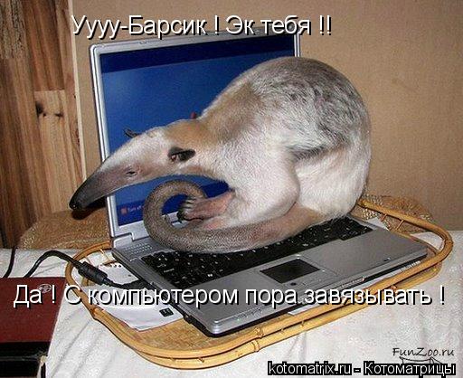 4743317_Pl (512x418, 52Kb)
